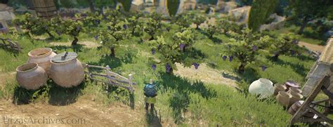 bdo grape.